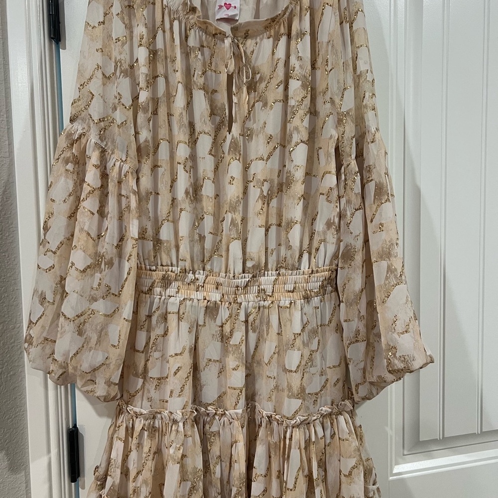 Buddy Love Cream and Gold Patterned Dress